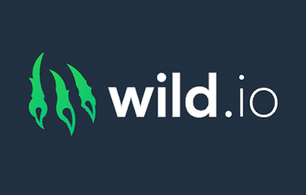 Wild.io Casino